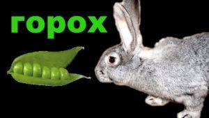 «байкокс» для кроликов