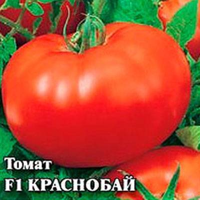 Помидоры краснобай f1: характеристика и выращивание сорта