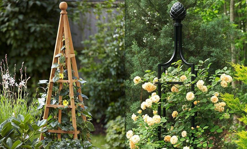 Пошаговые инструкции по изготовлению опор для плетистых роз и подвязке к ним растения. фото и советы по уходу