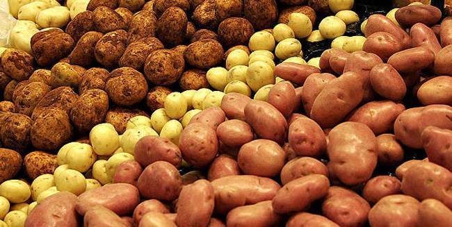 Сортовые особенности картофеля журавинка
