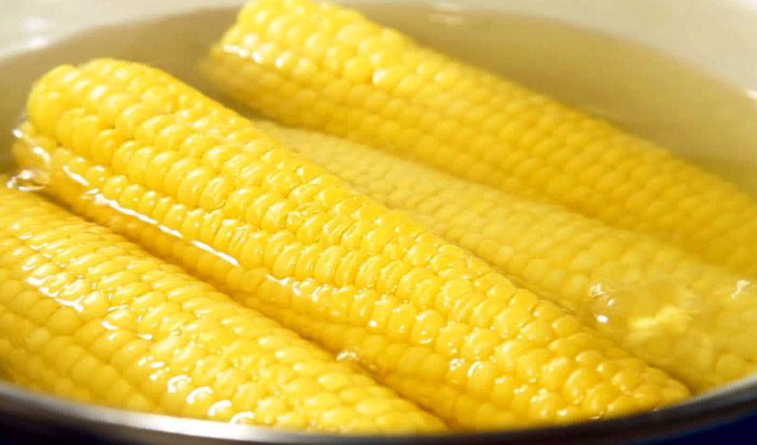 Как хранить кукурузу в домашних условиях: лучшие и эффективные способы