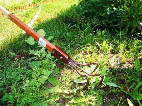 Как избавиться от слизней в огороде - защита и профилактика