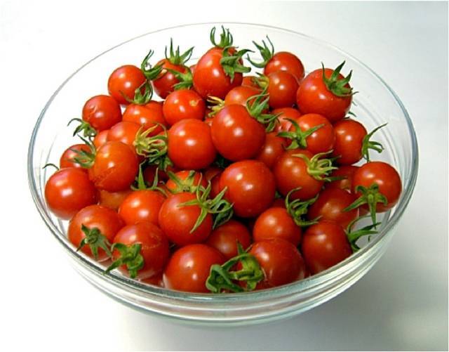 Томат или помидор ампельный — сорта, описание и характеристики