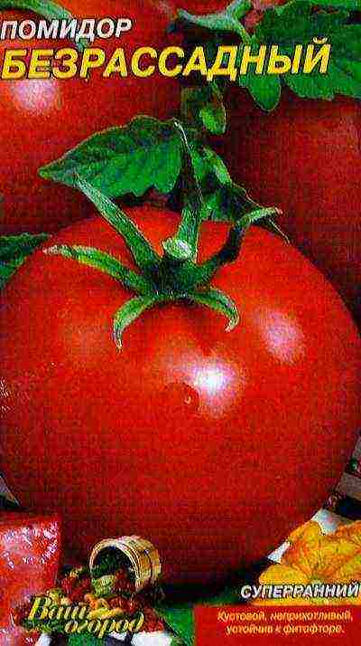 Раннеспелый сорт томата «айвенго» f1: описание помидоров, фото плодов, достоинства и недостатки