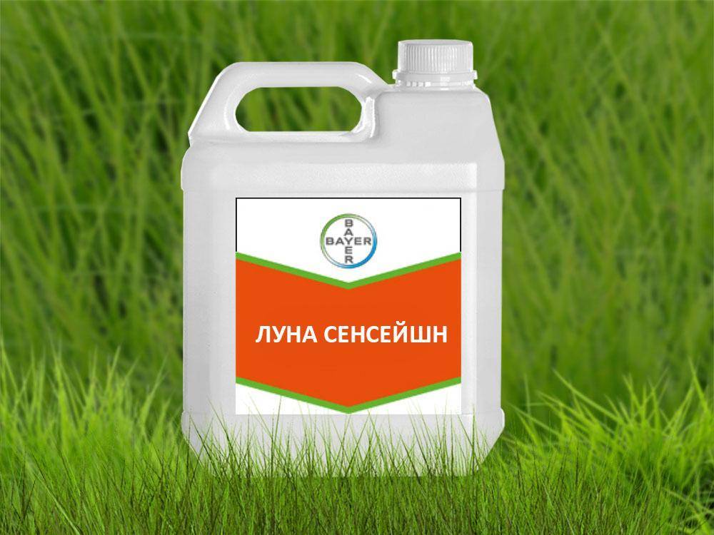 Инструкция по применению фунгицида ревус топ и механизм действия