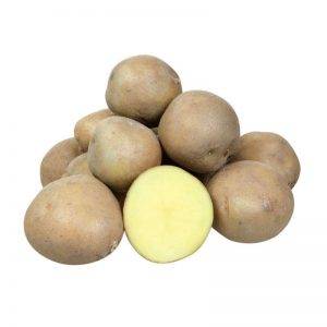 Описание сорта картофеля Колобок, особенности выращивания и ухода