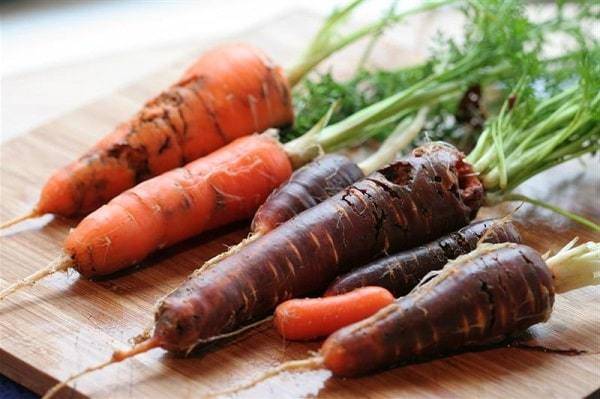Эффективные народные средства для борьбы с морковной мухой