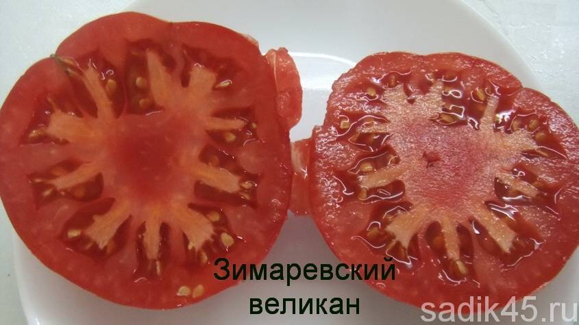 Корнабель — сладкий томат загадочной формы