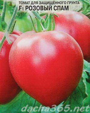 Описание сорта, характеристики и особенности выращивания томата розовое сердце