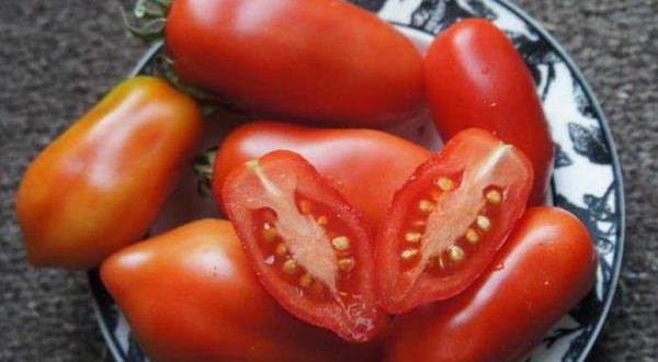 Описание сорта помидоров дамские пальчики, особенности выращивания и ухода