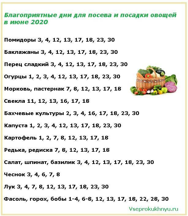 Сроки посадки огурцов на рассаду в 2020 по лунному календарю