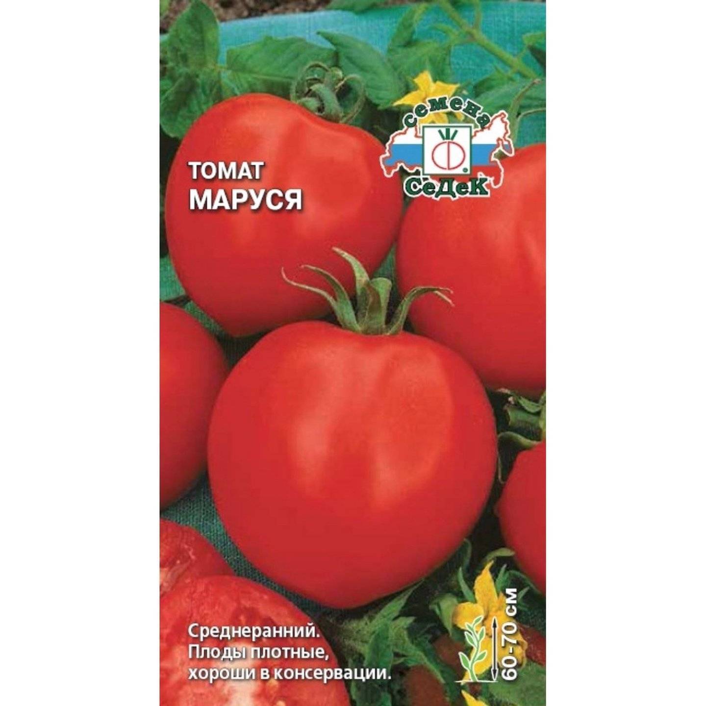 Маруся — томат из германии для русского застолья