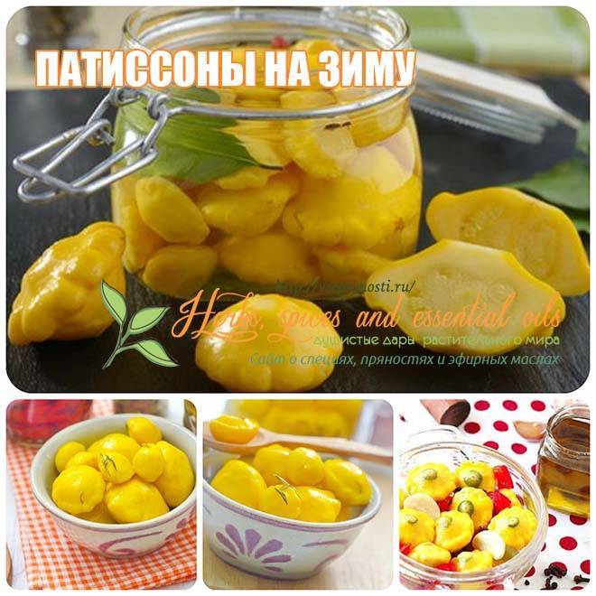 Кабачки и патиссоны — вкусные заготовки на зиму