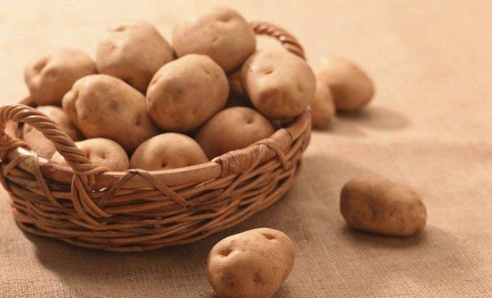 Преимущества картофеля аврора: описание сорта, отзывы