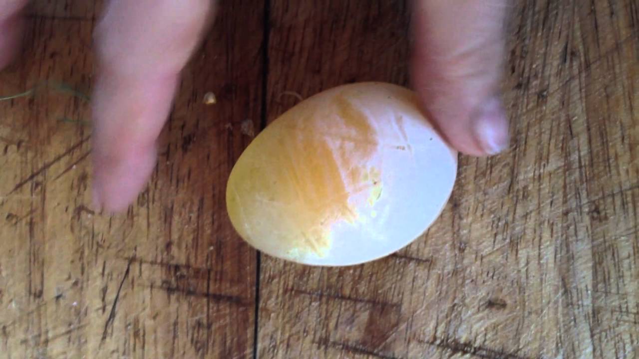 Яйца измельчали — что делать?