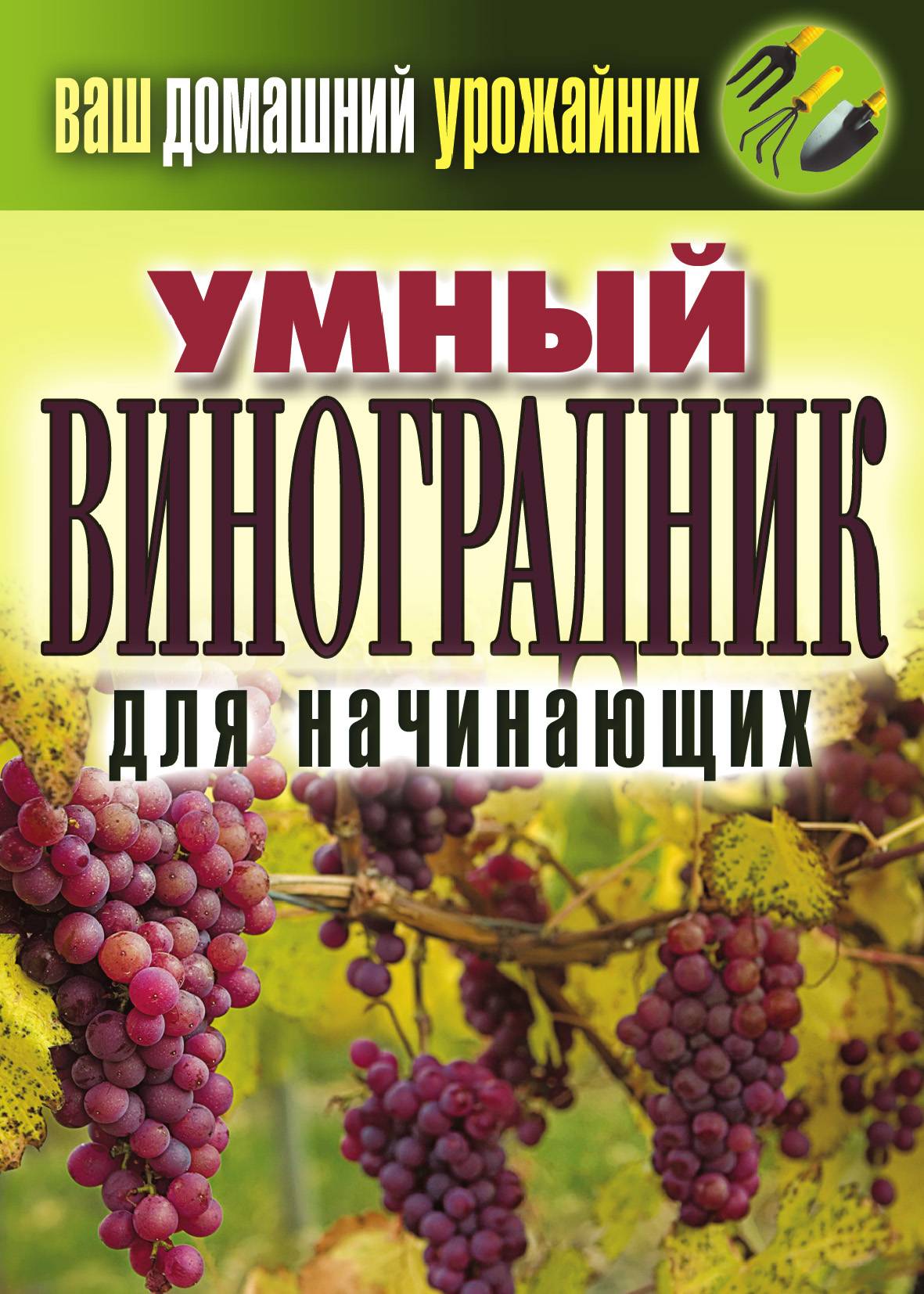 Виноград Рислинг: описание сорта и история выведения, правила выращивания