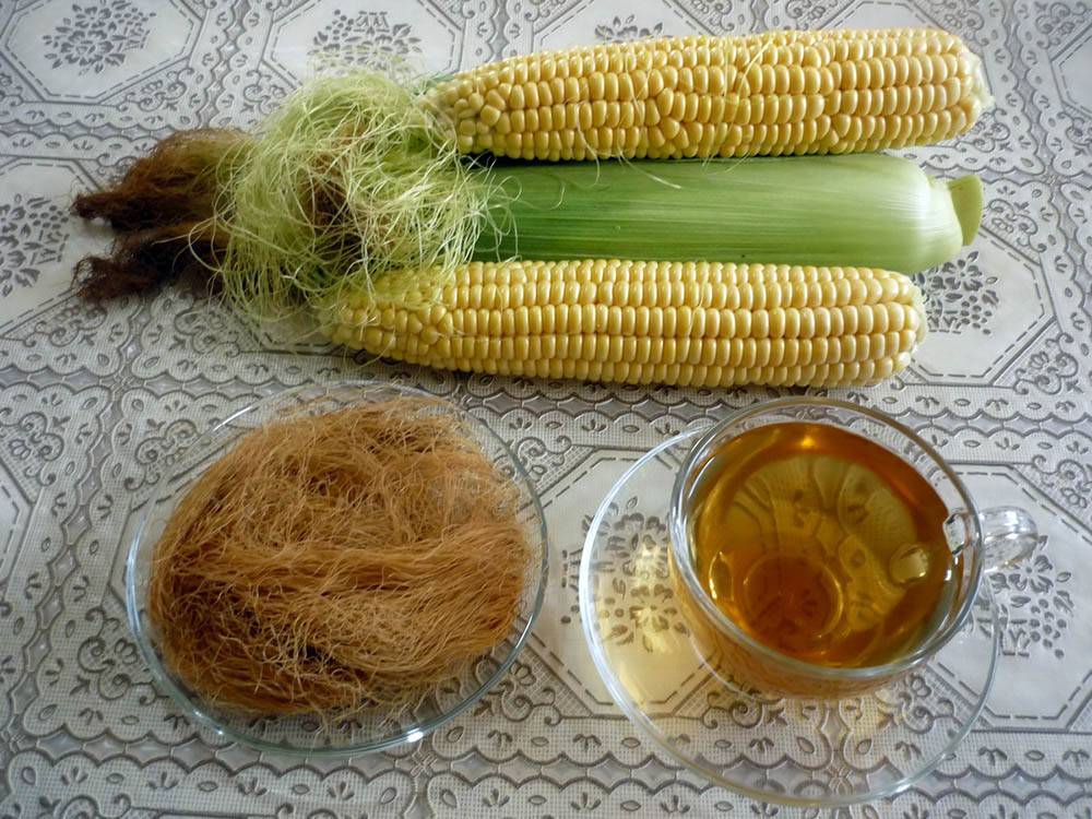 Кукуруза: применение для лечения и в косметологии