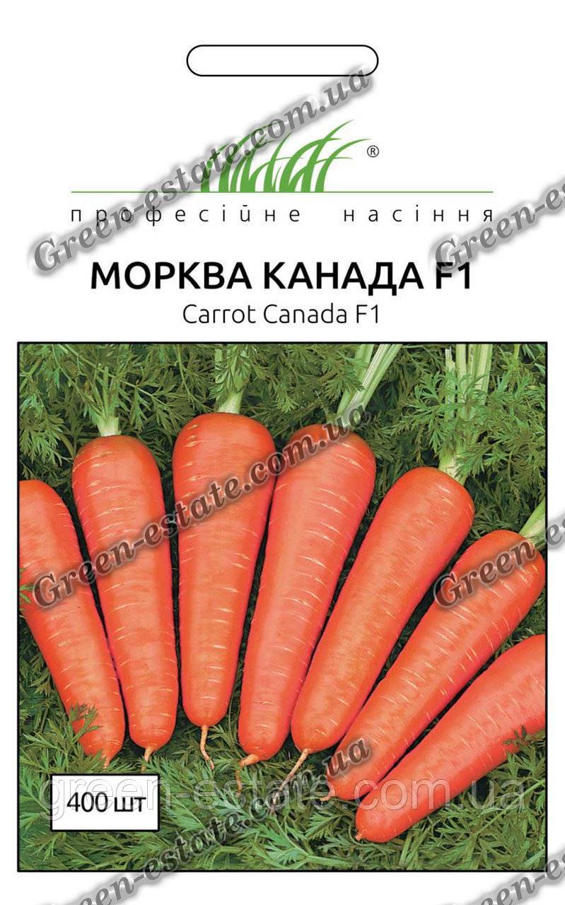 Отличительные характеристики моркови канада f1 и особенности ее выращивания