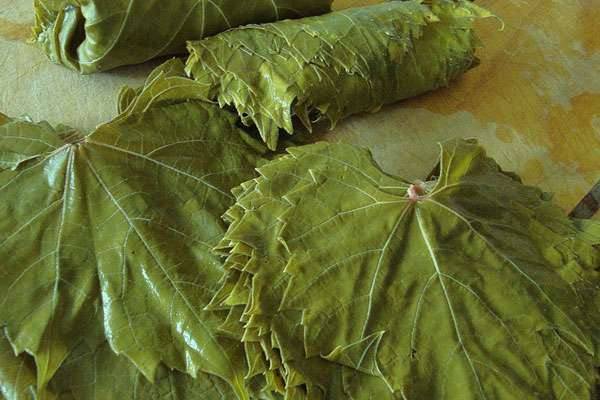 Виноградные листья для долмы: 14 советов и 1 классический рецепт