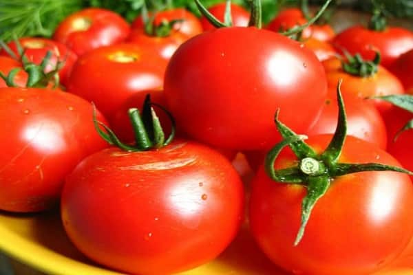 Обзор лучших сортов помидоров для Витебской области