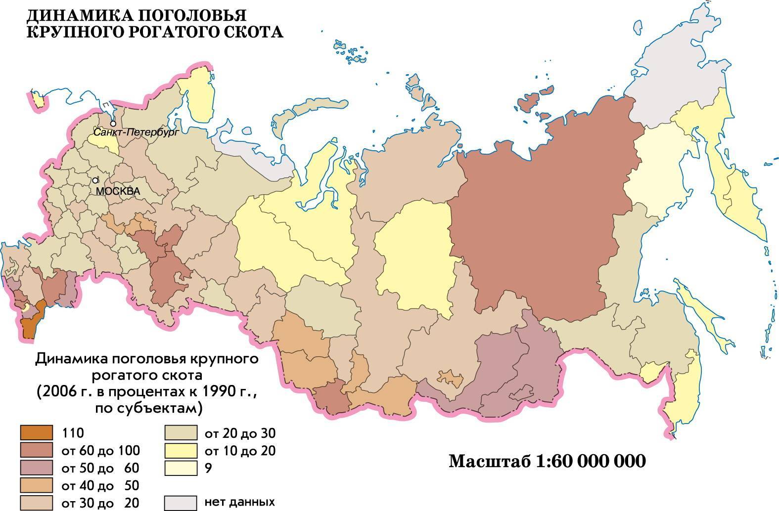 Районы животноводства — территориальные особенности россии