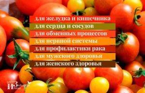 Как помидоры влияют на кишечник. польза помидоров для организма: почему полезно кушать свежие и соленые помидоры