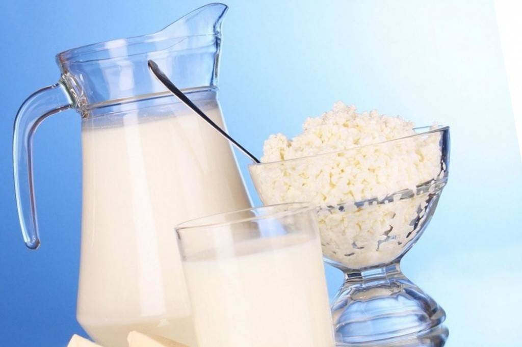 Польза и вред козьего молока для взрослых и детей