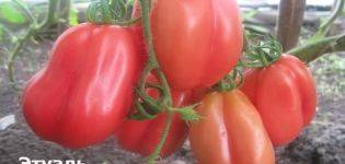 Томат фэнси: характеристика и описание сорта, выращивание и мнение садоводов с фото