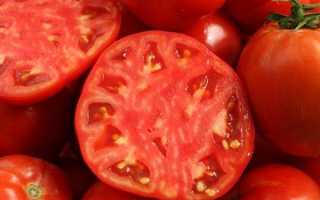 Сорт томата «марманде»: описание, характеристика, посев на рассаду, подкормка, урожайность, фото, видео и самые распространенные болезни томатов