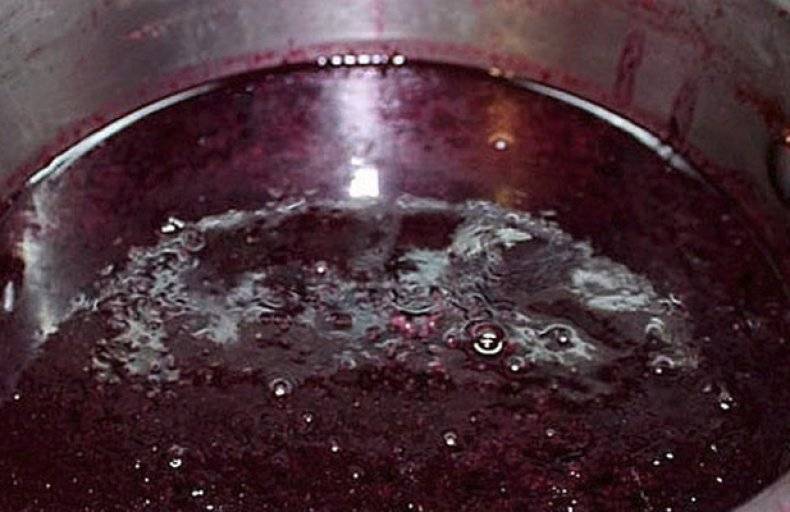 Способы приготовления виноградного сока