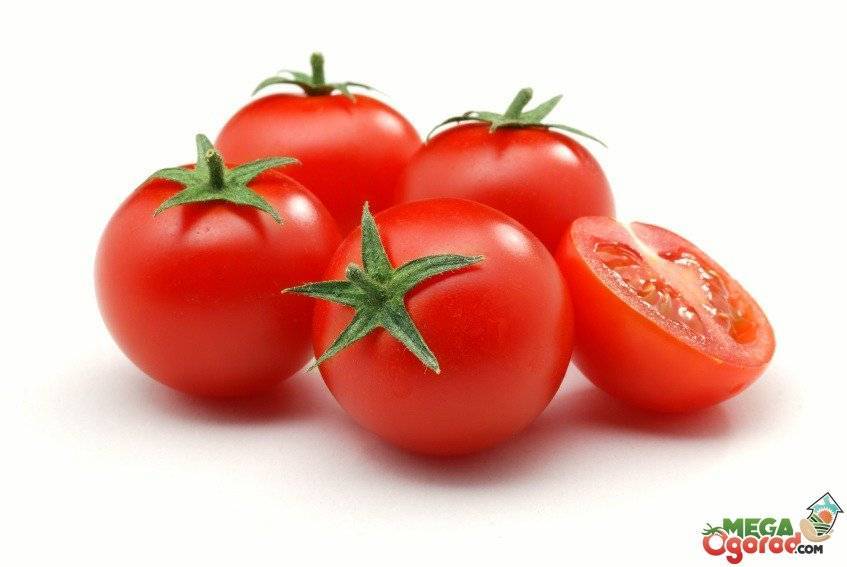 Что содержится в помидорах: витаминно-минеральный состав