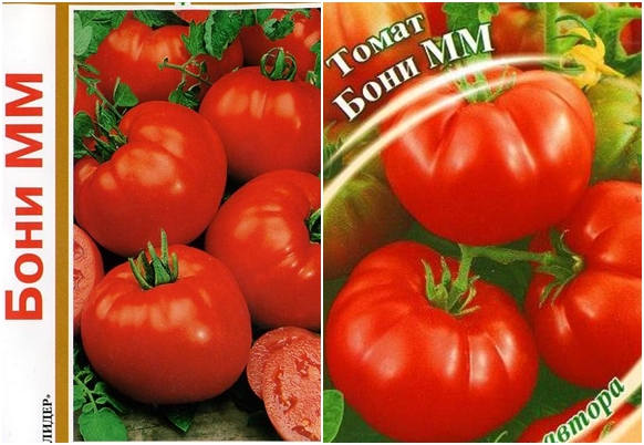 Описание томата бони мм: срок созревания, урожайность, назначение сорта