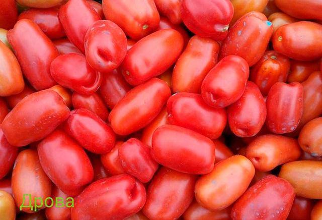Сорт для любителей редких экзотических помидоров — томат «дрова»
