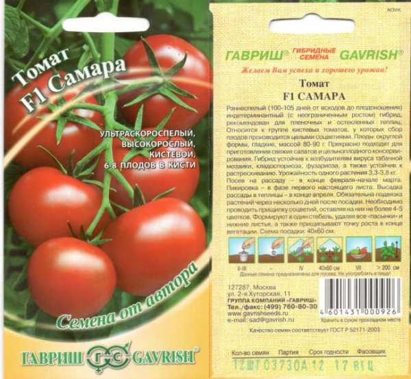 Лучшие самоопыляемые сорта томатов для теплицы