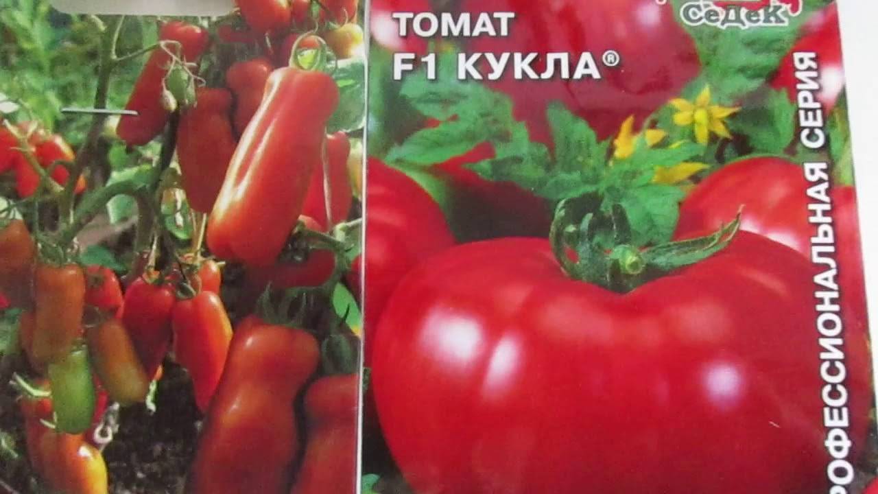 Кукла f1: подробное описание и рекомендации по выращиванию томата