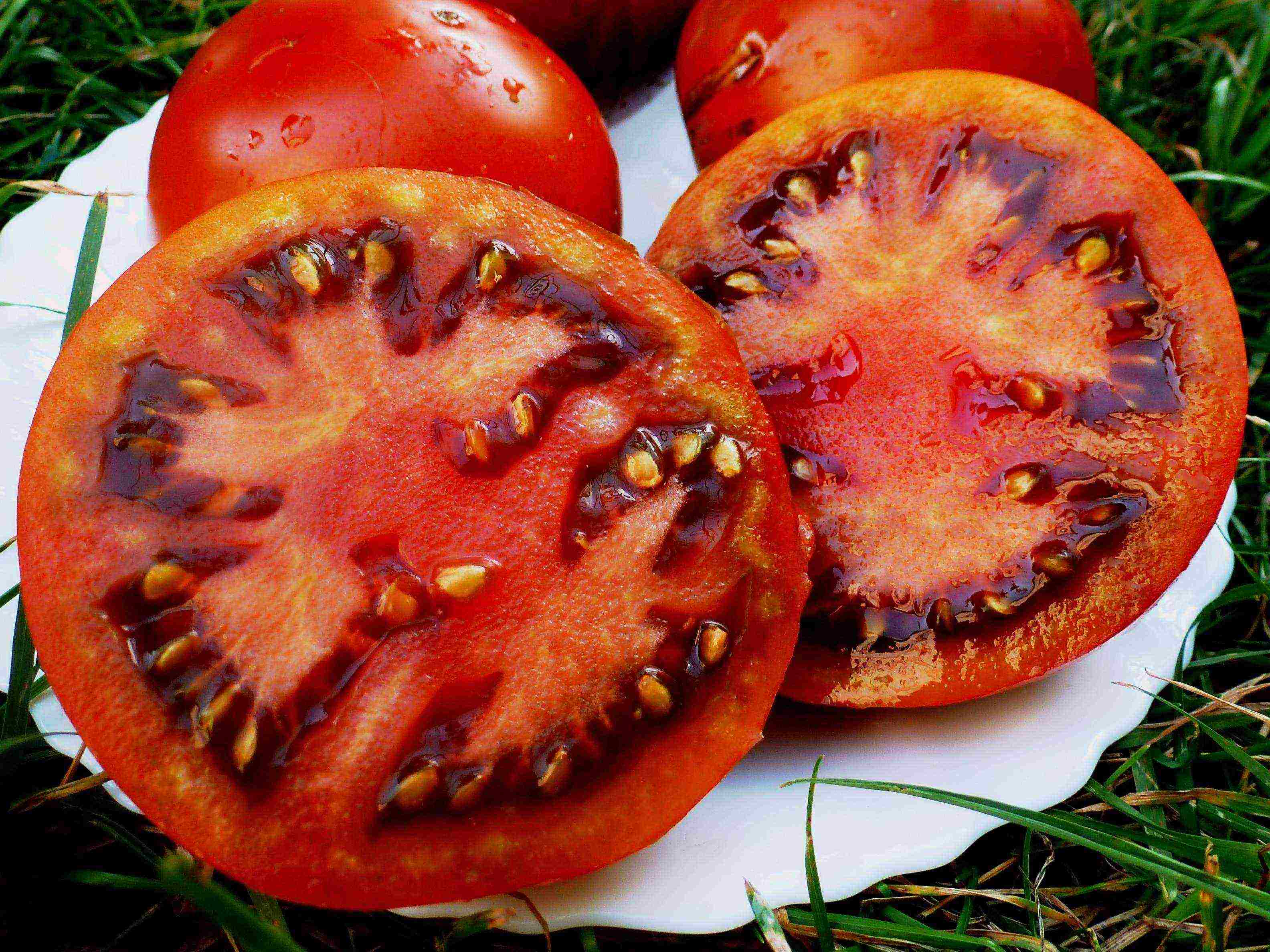 Темноплодный томат «поль робсон» — секреты выращивания, описание сорта