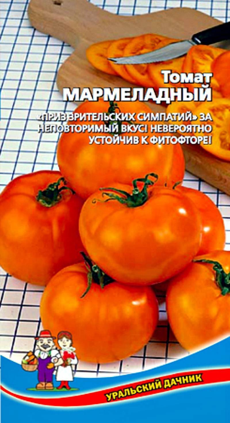 Характеристика томатов сорта джина: выращивание и уход за помидорами