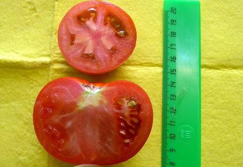 Гибридный сорт от японских селекционеров — томат «пинк парадайз f1»