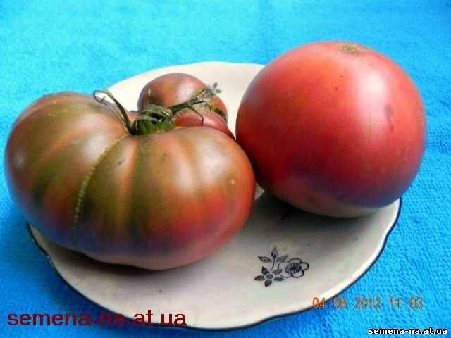 Описание сорта томата драгоценность, его характеристика и урожайность