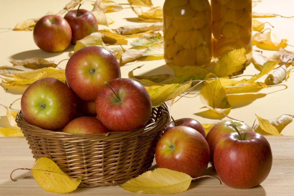 ТОП 8 простых рецептов приготовления повидла из яблок Белый налив на зиму