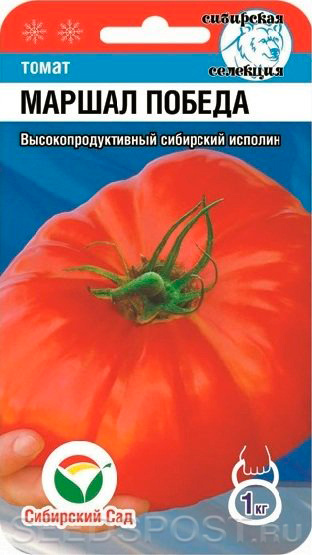 Описание сорта томата маршал победа и его урожайность