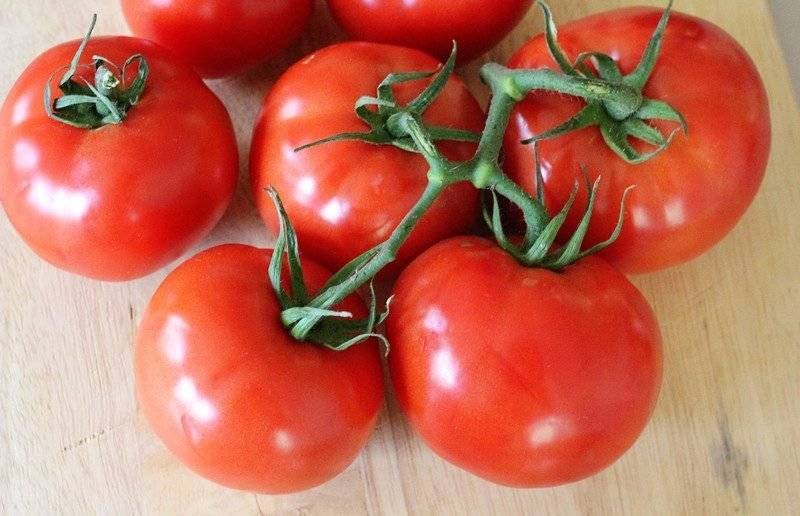 Очень ранний томат бони мм: положительные стороны и минусы культивирования