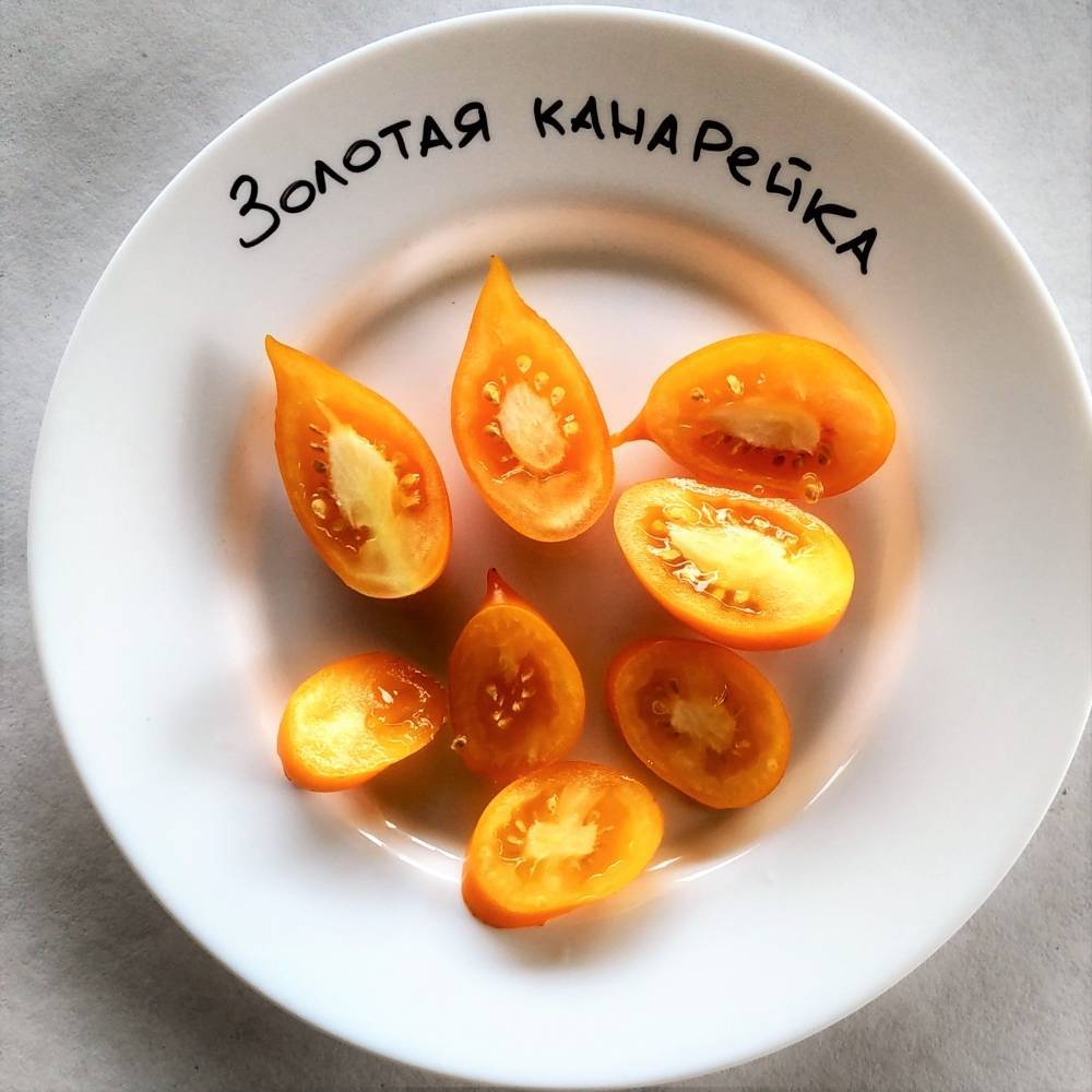Сорт томатов «золотая канарейка»: преимущества и агротехника