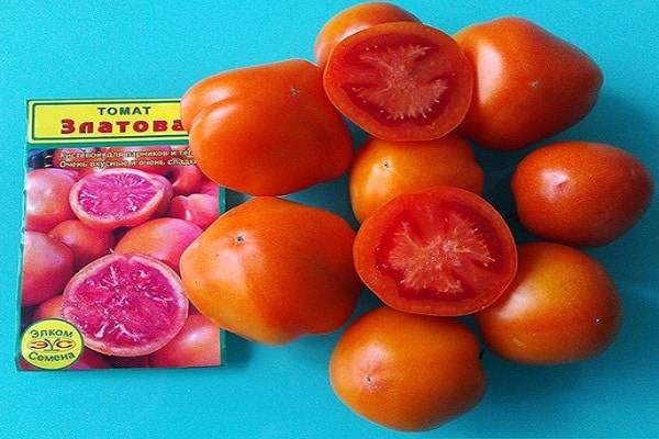 Описание сорта томата Златова, его характеристика и выращивание