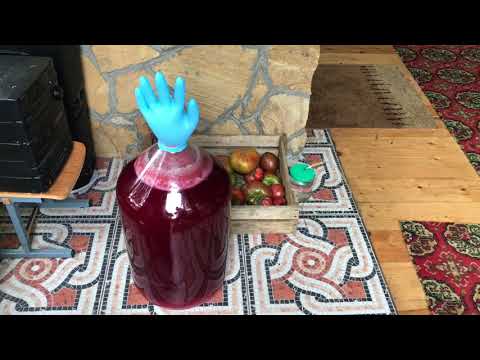 Забродил вишневый компот — как сделать вино