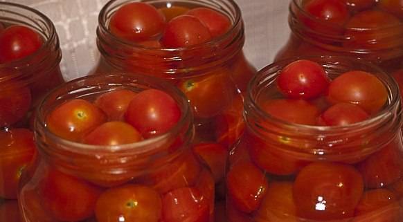 ТОП 13 вкусных рецептов соленых помидор быстрого приготовления на зиму