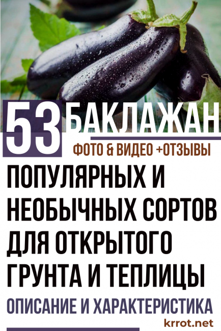 Баклажан щелкунчик f1 — описание сорта, отзывы, характеристика и урожайность