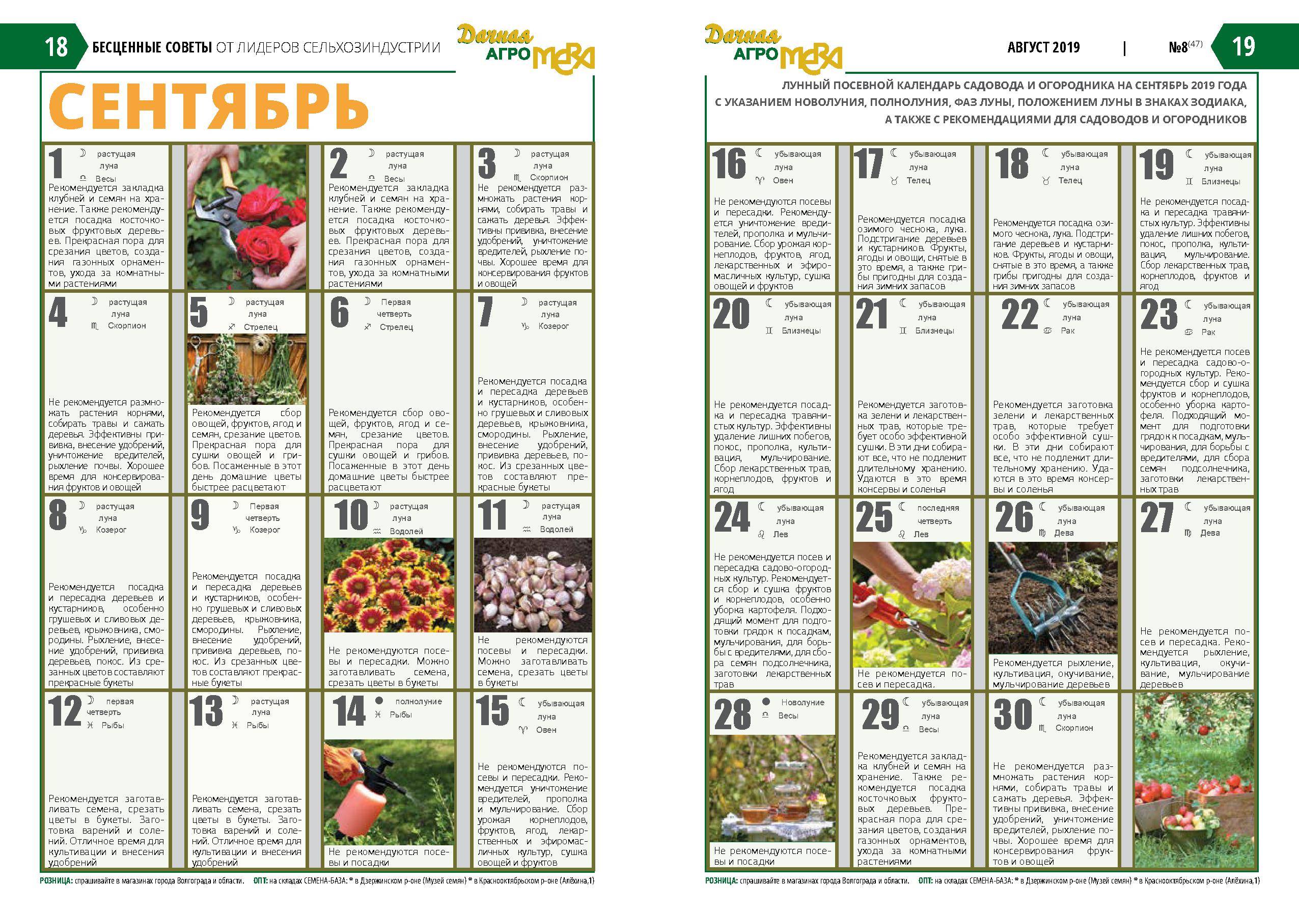 Лунный посевной календарь садоводов и огородников на 2019 год