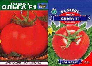 Характеристика и описание гибрида томата оля f1, выращивание