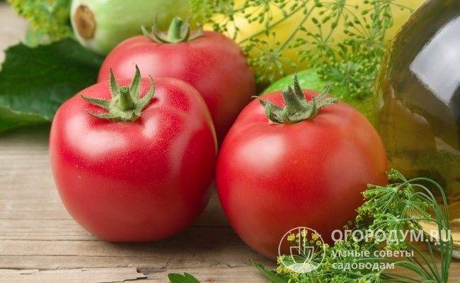 Чем хорош томат «малиновая империя» и как его вырастить самостоятельно — практическое руководство